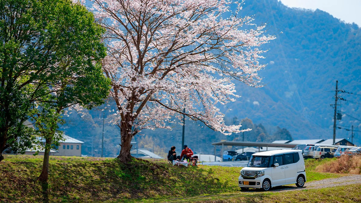 Der Frühling aus der Sicht von Autobesitzern in Japan: Hanami, Gelber Sand und weitere Fun-Facts!